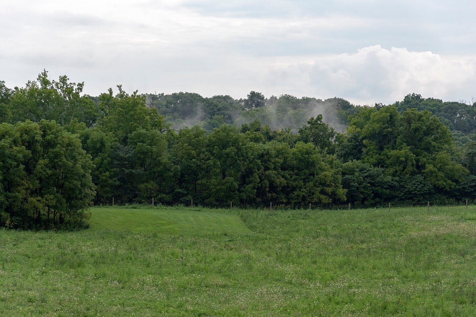 Battelle Darby Creek Metro Park near Grove City, Ohio