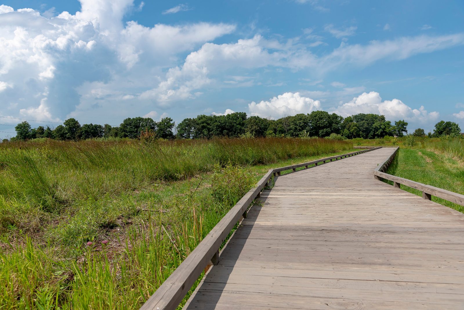 Boardwalk through the prairie at Glacier Ridge Metro Park in Jerome Township, Ohio