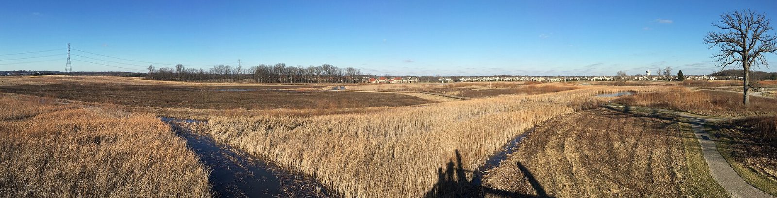 Prairie and wetlands at Glacier Ridge Metro Park in Jerome, Ohio