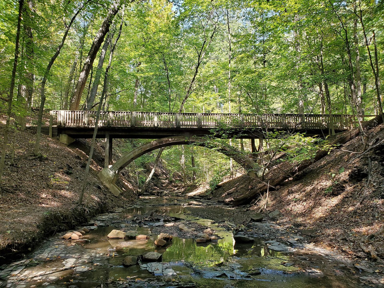 Wooden arch bridge over a ravine at Highbanks Metro Park near Lewis Center, Ohio