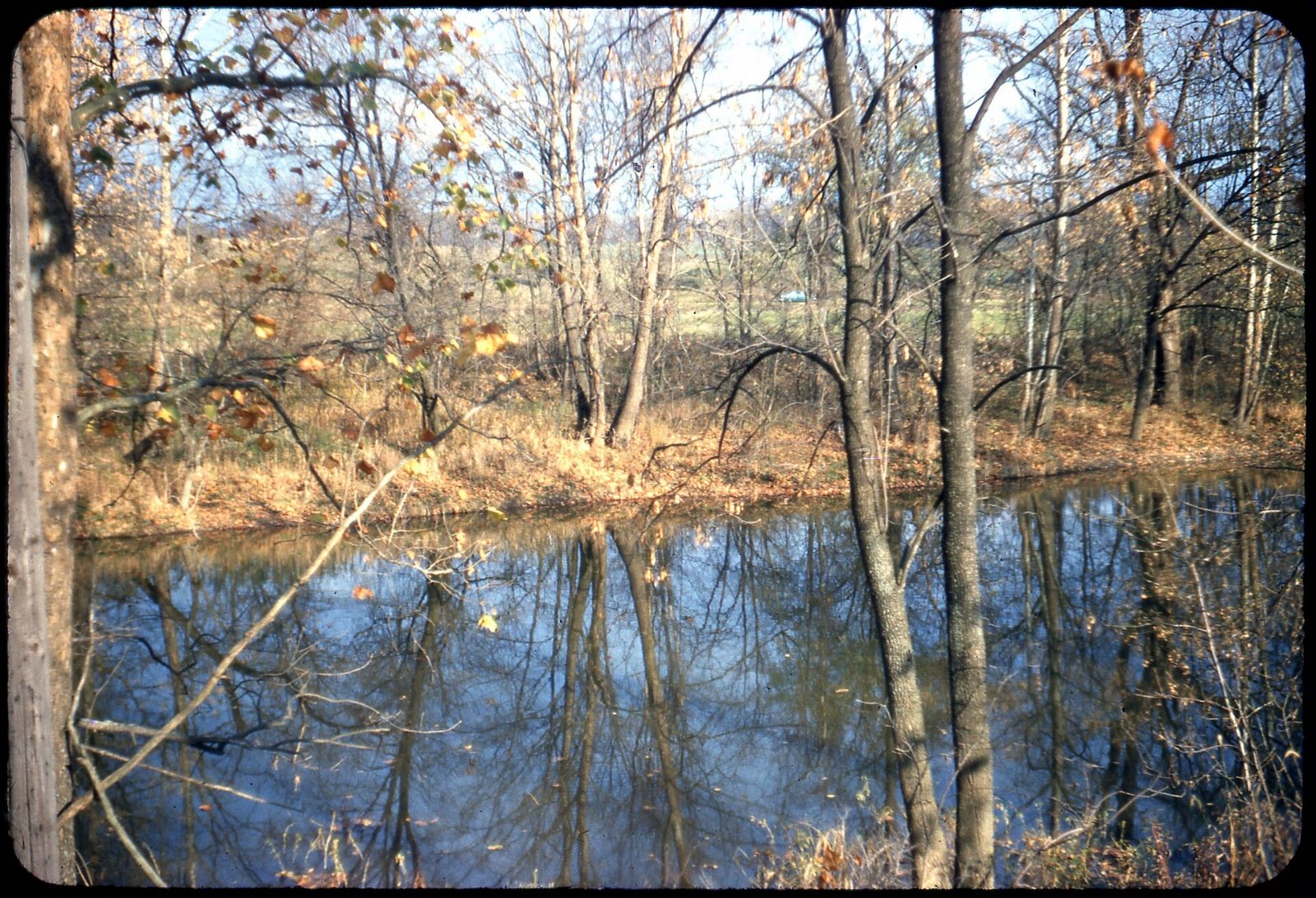 The Olentangy River near Lewis Center, Ohio